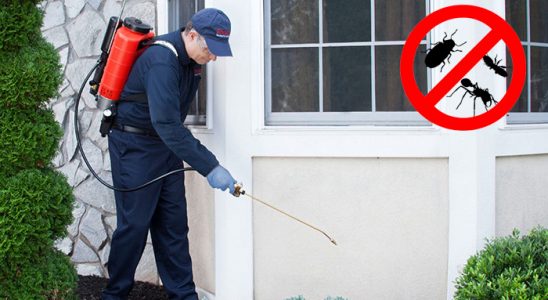 Silvan Gümüşkurt İlaçlama böcek ilaçlama ve haşere kontrolü — ilaclama-tr.com